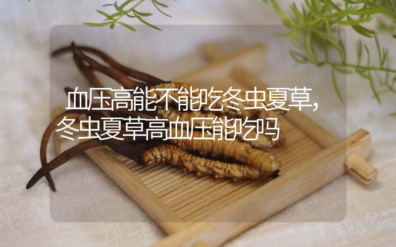 血壓高能不能吃冬蟲夏草，冬蟲夏草高血壓能吃嗎？