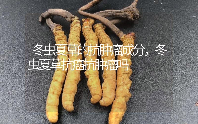 冬蟲(chóng)夏草的抗腫瘤成分，冬蟲(chóng)夏草抗癌抗腫瘤嗎？