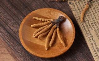 如何正確保存冬蟲夏草，避免變質失效？