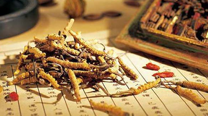 同仁堂健康冬蟲夏草：傳承品質，饋贈健康