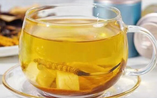 新鮮冬蟲夏草能泡茶嗎？一文讀懂養生新方式